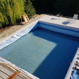 Accessoires et Produits d'Entretien : Maintenez votre Piscine dans un État Impeccable Clermont-Ferrand